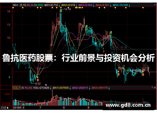 鲁抗医药股票：行业前景与投资机会分析